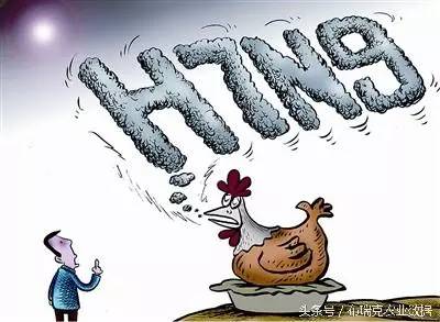 2、中國禽產(chǎn)品的供給缺口